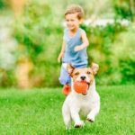 Environmentally Friendly Lawn Care by EcoScapes