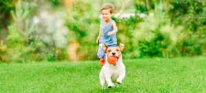 Environmentally Friendly Lawn Care by EcoScapes
