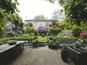 Backyard Landscape Rehab